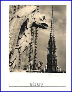 1950's Black & White. Photo Postcard. By Albert Monier, Les Chimeres-Notre-Dame
