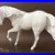 19_scale_unpainted_artist_resin_Spanish_horse_BUHONERO_01_hyx