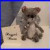 Artist_Mohair_Cat_Designs_By_Kazziesbruins_Creations_With_COA_01_yk