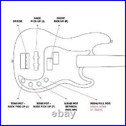 Artist Vintage-Hybrid White Active/Passive Bass Guitar & Case
