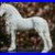 Artist_resin_model_horse_friesian_stallion_sculpture_White_ABS_resin_1_9_scale_01_wh