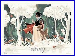 Bottleneck Artist Caltsoudas Snow White Movie Poster Eyeland Art Print Mondo