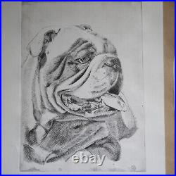 Bulldog Etching on White Somerset Paper