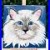 Cat_oil_painting_On_Canvas_realistic_Animal_Art_Home_Decor_Sale_White_Kitten_01_brg