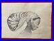 Charles_White_Handmade_Drawing_Inks_on_old_paper_signed_stamped_01_tjdx