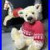 Christmas_Carol_26cm_OOAK_Artist_Bear_By_Bear_Rhymes_01_pyzw