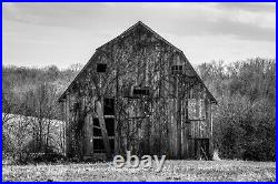 Country Farmhouse Black and White Art Print of Barn Covered in Vine in Missouri