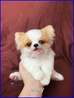 Dog / puppy chihuahua 9,4 in(24cm) realistic toy