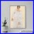 Egon_Schiele_Self_Portrait_in_a_White_Robe_1911_Poster_Painting_Art_Print_01_jc