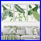 FRAMED_Prints_Tropical_Monstera_Art_Prints_Botanical_Green_Deco_Set_2_Set_Of_3_01_geih