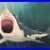 Great_White_Shark_Oil_Painting_Seascape_Original_Canvas_Wall_Art_by_Guillemette_01_wg