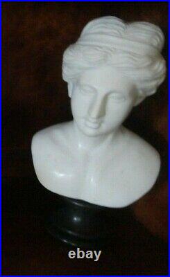 Heavy Marble Bust Historical Figure Female Statue Fine Art Vintage Form