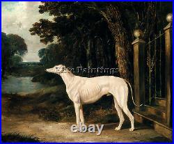 Herring John Frederick Vandeau White Greyhound Artist Painting Oil Canvas Repro