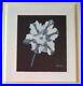 John_Matthew_Moore_Tulip_mmtn1_Limited_Giclee_Print_12_295_Framed_Coa_01_yc