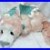 Kaycee_Bears_Dragon_by_Kelsey_Cunningham_Coral_white_with_blue_fin_RARE_20_01_cez
