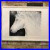 LARGE_HORSES_VARIOUS_COLLECTION_Acrylic_original_paintings_01_hdwh