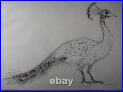 Large A1 pen & ink drawing of a peacock on ivory white smooth cartridge paper