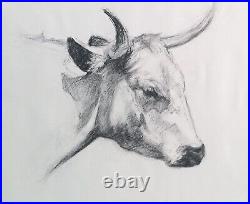 ORIGINAL White Park Cow Charcoal Drawing (painting, art) 20 x 16