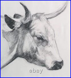 ORIGINAL White Park Cow Charcoal Drawing (painting, art) 20 x 16