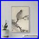 Ohara_Koson_White_Tailed_Eagle_on_Branch_1925_Poster_Painting_Art_Print_01_cy