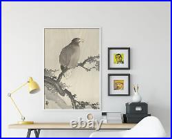 Ohara Koson White Tailed Eagle on Branch (1925) Poster Painting Art Print