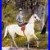 Oil_painting_Paul_Tavernier_lamazone_lady_on_white_horse_in_forest_landscape_01_jhtz
