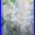 Original_Oil_Painting_bird_cherry_white_flowers_2005_Ukrainian_artist_Yablonska_01_qss