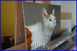 Original Oil painting portrait of a white and ginger cat by uk artist j payne