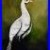 Original_Painting_White_Peacock_Bird_Wildlife_Fine_Art_Signed_K_Eggleston_01_rce