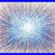PRE_SALE_LARGE_ORIGINAL_BLUE_STAR_VERY_BIG_158cm_MODERN_WALL_ART_CANVAS_PAINTING_01_lyhe
