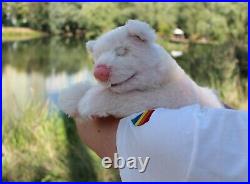 Plush realistic Bear, collectible handmade toy, art toy, polar bear, white bear