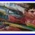 REDUCED_Jeff_Gordon_Nascar_34x24_signed_by_artist_George_Bartell_01_xoif