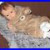 Reborn_Doll_Roberto_by_Mayra_Garza_20_5_Lbs_COA_01_xiw