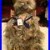 Retired_Charlie_Bears_Skipper_61cm_2019_plush_collection_Isabelle_Lee_01_drl