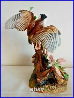 Royal Worcester Artist David Fryer, Very Rare L/E Bird Figurine, 1/10, COA