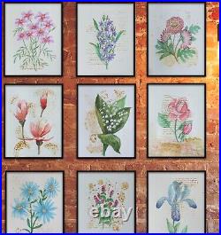 Set of 9 Watercolour Flower Paintings! Floral Pink/White/Green