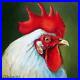 The_White_Rooster_2_Superb_Original_Oil_Painting_by_Ilona_Glowacka_8_X_8_01_mdks
