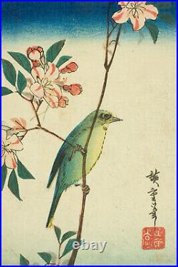 Utagawa Hiroshige Japanese White Eye (1840) Poster Art Print Painting Gift