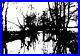 Very_Large_Black_And_White_Abstract_River_And_Trees_Landscape_Painting_On_Canvas_01_jsoi