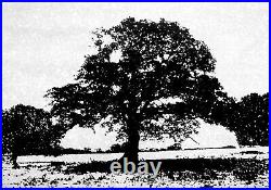 Very Large Black And White Tree Landscape Modern Art Acrylic Painting On Canvas