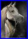 White_Arabian_Horse_Original_Colored_Pencil_Art_by_Artist_A_C_GRIEHL_GROSS_01_pwe