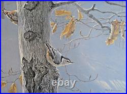 White Breasted Nuthatch. By artist Robert Bateman- Limited edition print