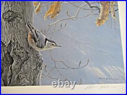 White Breasted Nuthatch. By artist Robert Bateman- Limited edition print