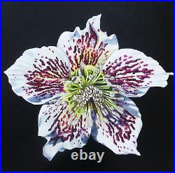 White Hellebore Original Art Painting Oil On Canvas Studio Angela