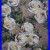 White_Peonies_Oil_Painting_Vivek_Mandalia_Impressionism_16x20_Original_Signed_01_gtr