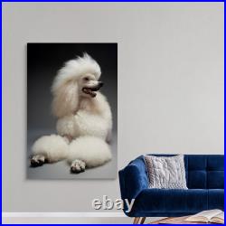 White Poodle Canvas Wall Art Print, Dog Home Decor