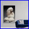 White_Poodle_Canvas_Wall_Art_Print_Dog_Home_Decor_01_nyb