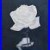 White_Rose_Original_Oil_Painting_Black_And_White_Framed_Floral_Artwork_12x9_01_rn