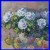 White_Roses_Oil_Painting_Vivek_Mandalia_20x20_Original_Fauvism_Collectible_01_qlw