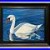 White_Swan_Swimming_original_oil_Realist_painting_Bird_Artwork_FRAMED_wall_Decor_01_kawe